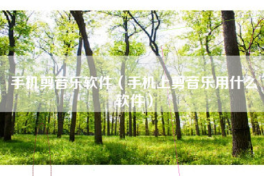 手机剪音乐软件(手机上剪音乐用什么软件)