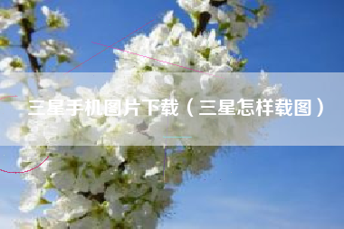 三星手机图片下载(三星怎样载图)