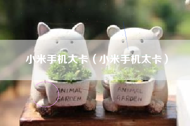 小米手机大卡(小米手机太卡)